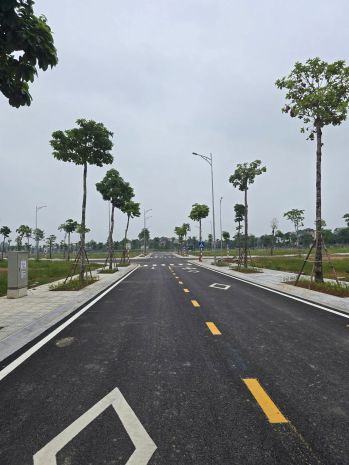 Bán dự án đất tại hoàng liệt  hoàng mai - hà nội 6794082