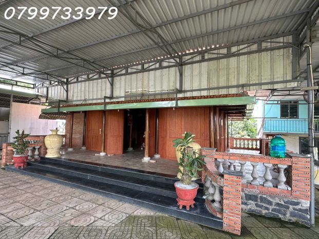 Bán 12.000m2 đất, xã suối rao, bà rịa vũng tàu, tặng nhà 6794700