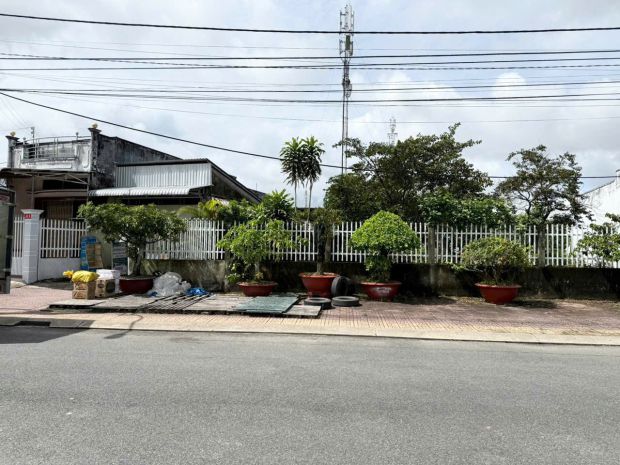 Cho thuê đất mặt tiền trung tâm thành phố cà mau 6795063