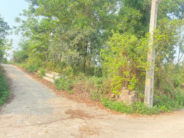 Mình cần bán đất lô góc 2 mặt tiền  vị trí lý tưởng làm 6795120