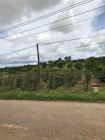 Bán đất 2 mt ql 28b đức trọng, lâm đồng, 10 x 50m, 200m2 6798615
