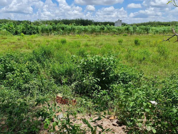 Chính chủ cần bán nhanh lô đất vị trí đẹp tại xã an cơ, 6803239
