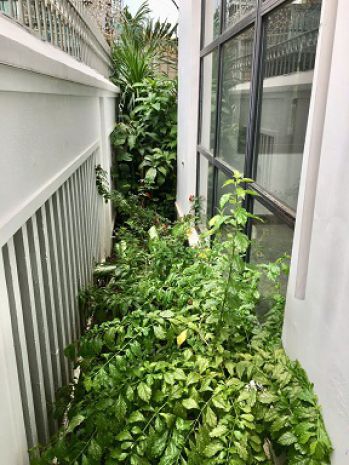 Bán biệt thự cực chất tại 1220 nguyễn cảnh dị, p4, q tân 6803839