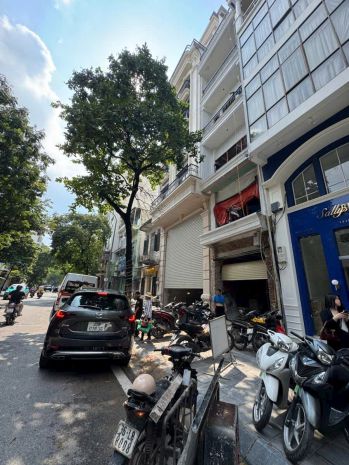 Mặt phố hòa mã - hà nội - kinh doanh - dòng tiền - vị trí 6805960