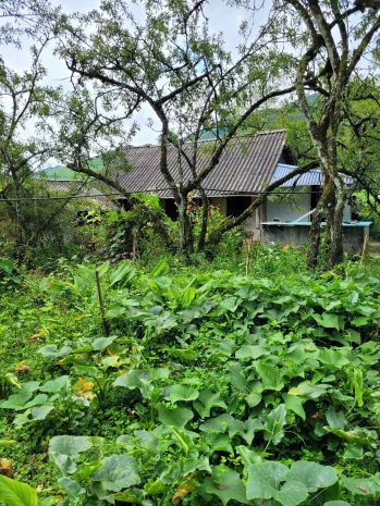 Bán đất tại phường sa pa - thị xã sa pa, tỉnh lào cai 6806491