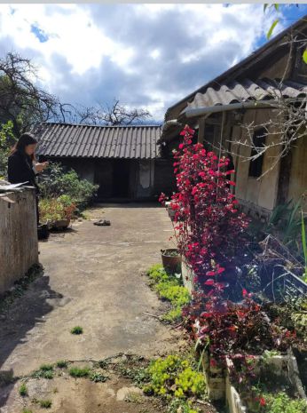Bán đất tại phường sa pa - thị xã sa pa, tỉnh lào cai 6806492