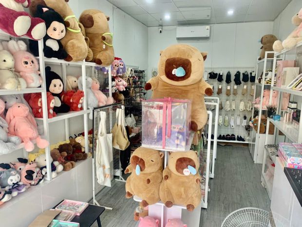 Mình cần sang nhượng cửa hàng phụ kiện tại tx.nghi sơn- 6806967