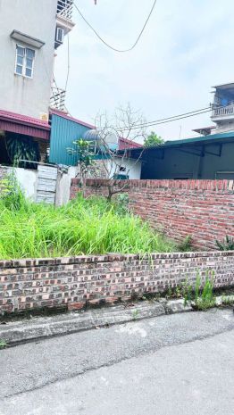 Bán đất mặt đường giao tất  kim sơn  gia lâm  vị trí 6809123