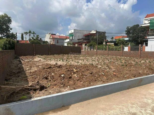 Chính chủ bán đất full thổ cư 2mt trung tâm lai khê-hải 6809890