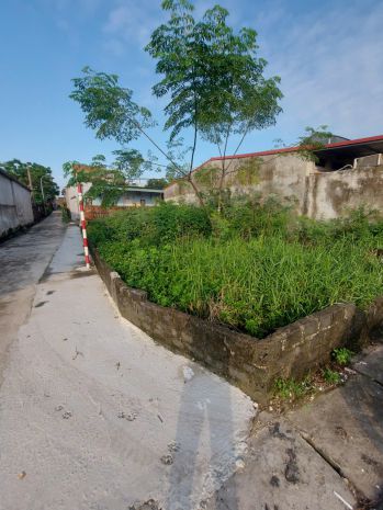 Cần bán lô đất đẹp tại khu 1 rừng sằm, xã thiện kế, huyện 6813585