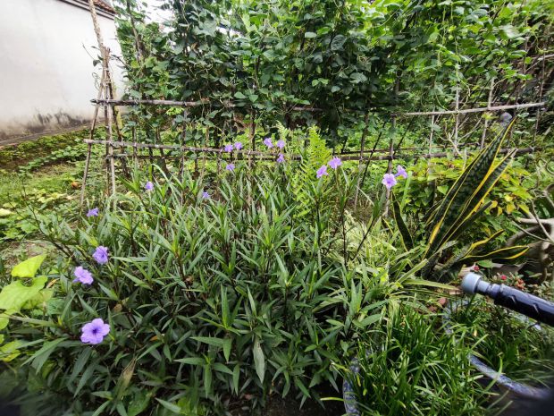 Đất đẹp nguyệt áng-đại áng- ngõ to - ô tô đỗ cửa-hơn 6815732