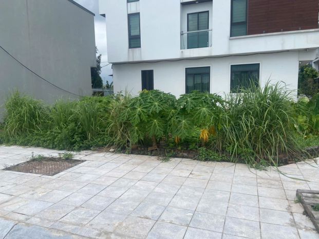 Bán đất đấu giá mai lâm đông anh- 80m mặt tiền hậu 5m-hàng 6817363