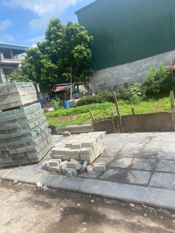 Bán đất đấu giá mai lâm đông anh- 80m mặt tiền hậu 5m-hàng 6817364
