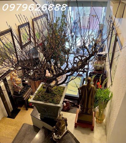 Cơ hội vàng  nhà phố thái hà  cực hiếm - ô tô đỗ cửa 6817728