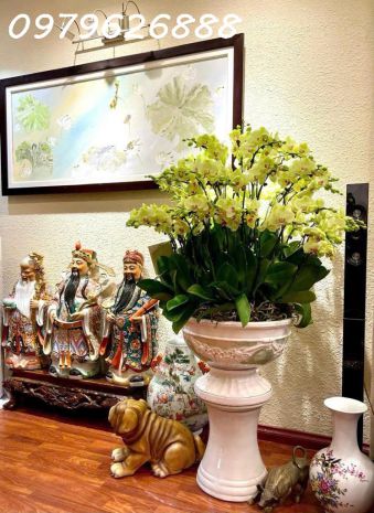 Cơ hội vàng  nhà phố thái hà  cực hiếm - ô tô đỗ cửa 6817729