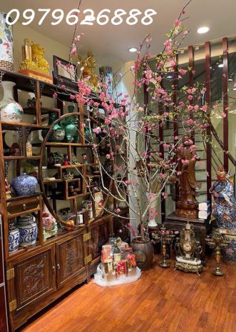Cơ hội vàng  nhà phố thái hà  cực hiếm - ô tô đỗ cửa 6817730