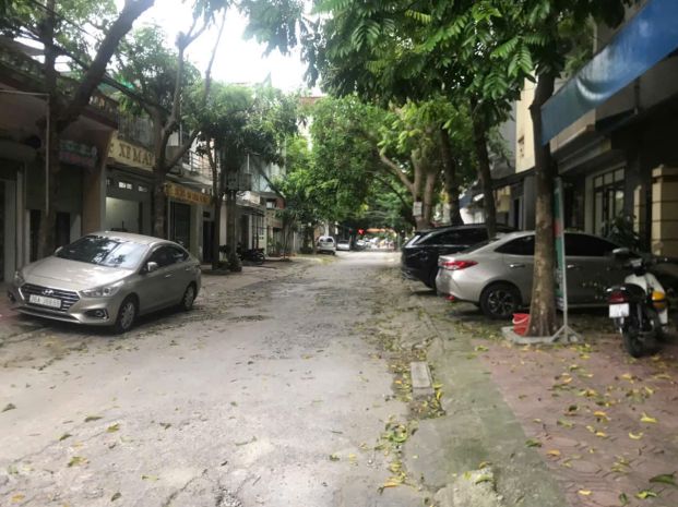 Cơ hội sở hữu lô đất đẹp tại hạc thành - vị trí đắc địa 6818710
