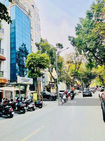 Bán nhà mặt phố nguyễn khang - 95m * 8tầng thang máy vỉa hè 6823028