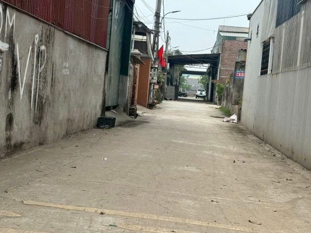 Bán 84m đất đấu giá bến trung, bắc hồng - cạnh đường qh 6825315