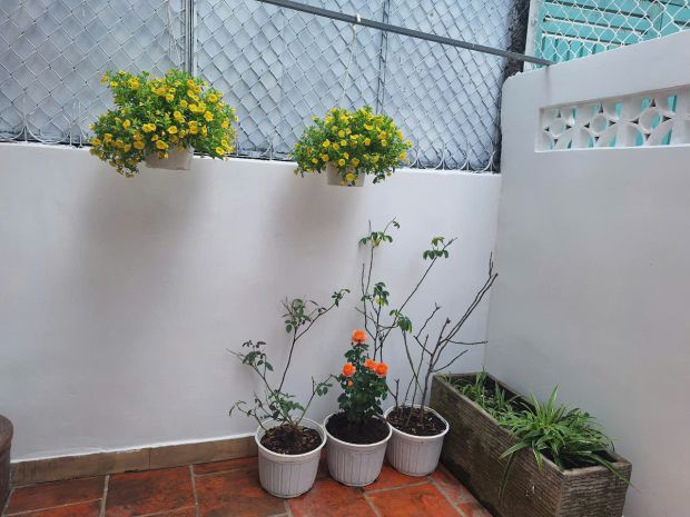 Cho thuê nhà nguyên căn 87m2  29 trương đăng quế, p.1, gò 6826058