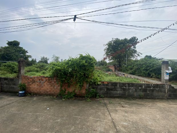 Bán 2 lô đất 5x45225m2 thổ 100 trung tâm xã mỹ hạnh nam, đ 6828631
