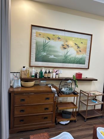 Mình thanh lý toàn bộ tiệm spa tại ecopark hưng yên, cách 6830546