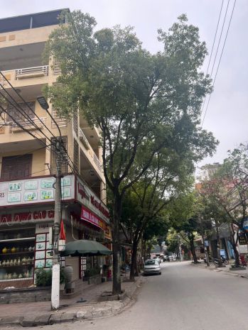 Chính chủ bán nhà 5 tầng lô góc  trung tâm tp ninh bình - 6831023