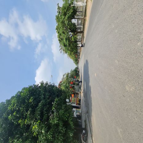 Đất đấu giá thuận an, hà nội đặng xá, gia lâm cũ. 80m2, 6831260