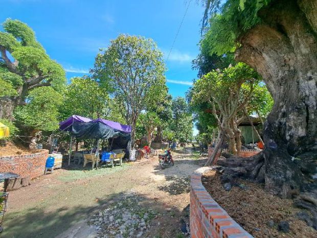 Bán đất mặt tiền 44x65m giá 38 tỷ đường bùi công trừng 6833675