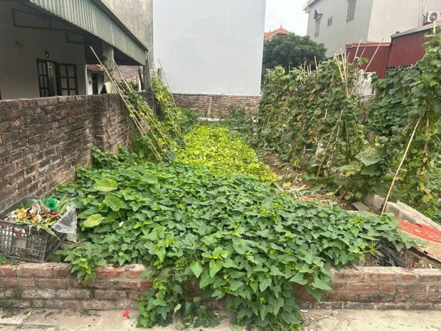 Đất đông mỹ- thanh trì - vị trí đẹp - mặt tiền rộng - ô tô 6836379