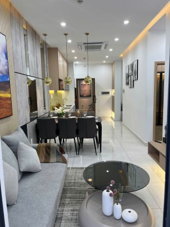 Cửa ngõ bình chánh  kết nối trung tâm sài gòn 6836779