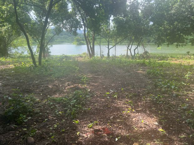 Chỉ 2,7trm2 nhận ngay về tay 4700m2 đất mặt hồ đồng sương 6836888