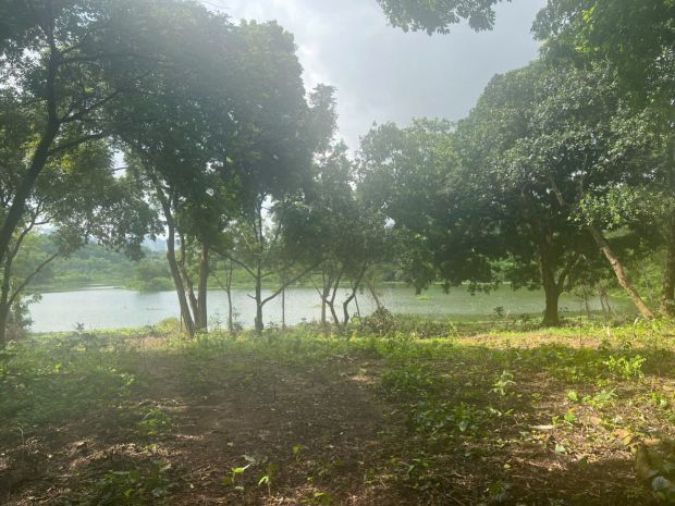 Chỉ 2,7trm2 nhận ngay về tay 4700m2 đất mặt hồ đồng sương 6836889