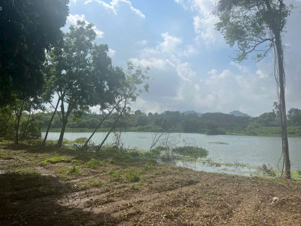 Chỉ 2,7trm2 nhận ngay về tay 4700m2 đất mặt hồ đồng sương 6836890