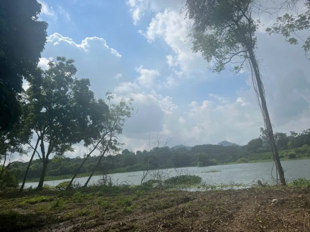 Chỉ 2,7trm2 nhận ngay về tay 4700m2 đất mặt hồ đồng sương 6836891