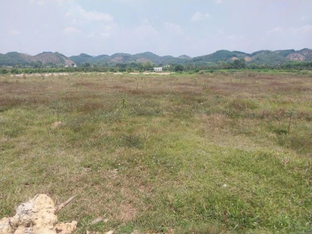 Chính chủ bán đất cln tại xã đạ kho, huyện  đạ tẻh, lâm đồng 6837064