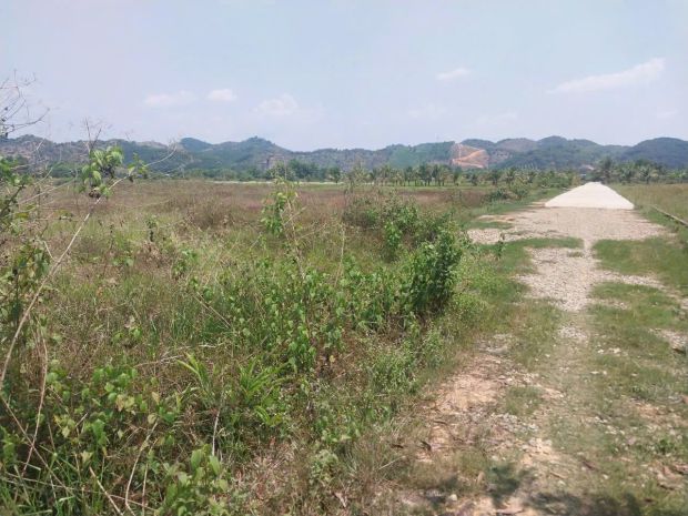 Chính chủ bán đất cln tại xã đạ kho, huyện  đạ tẻh, lâm đồng 6837065