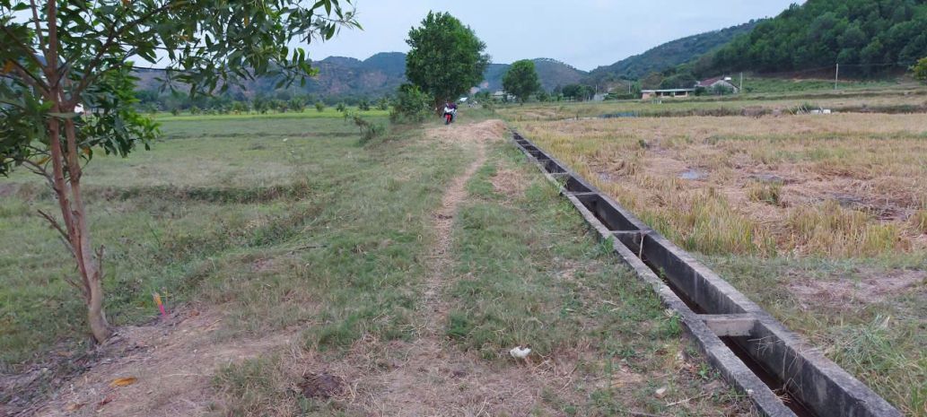 Chính chủ bán đất cln tại xã đạ kho, huyện  đạ tẻh, lâm đồng 6837067