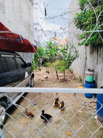 Đất  khu phân lô đồng bộ dương công khi hóc môn - 5 x19m 6837212