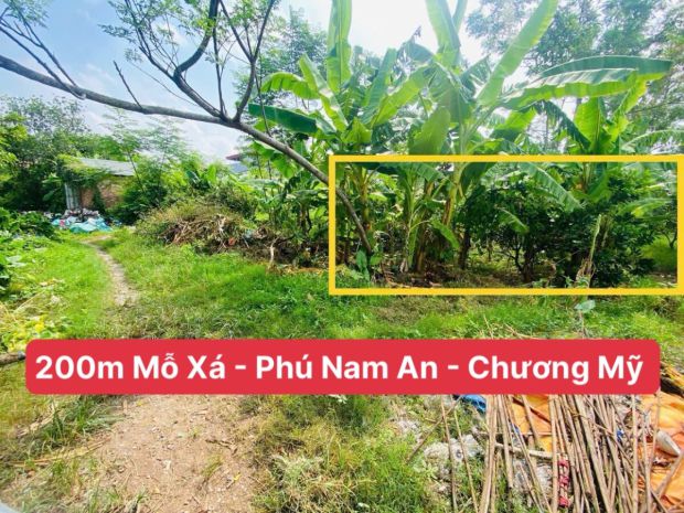 Siêu hót lô đất đẹp và lại rẻ nhất 200m tại phú nam 6837236