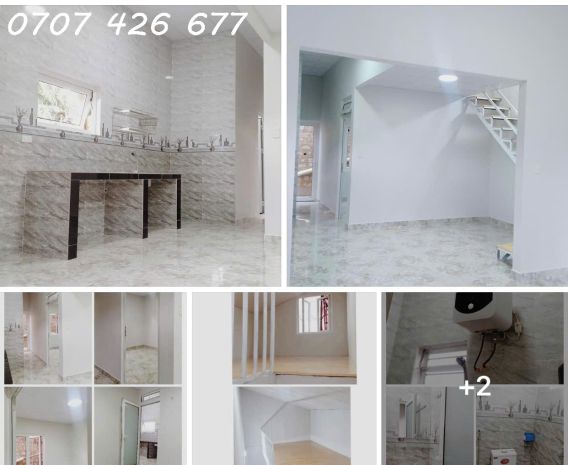Cho thuê homestay nguyên căn  p.8, đà lạt và nhà nguyên 6843511