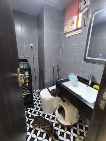 Bán chcc tòa a3 đền lừ 2, hoàng mai, view hồ đền lừ, 2n, 6844369