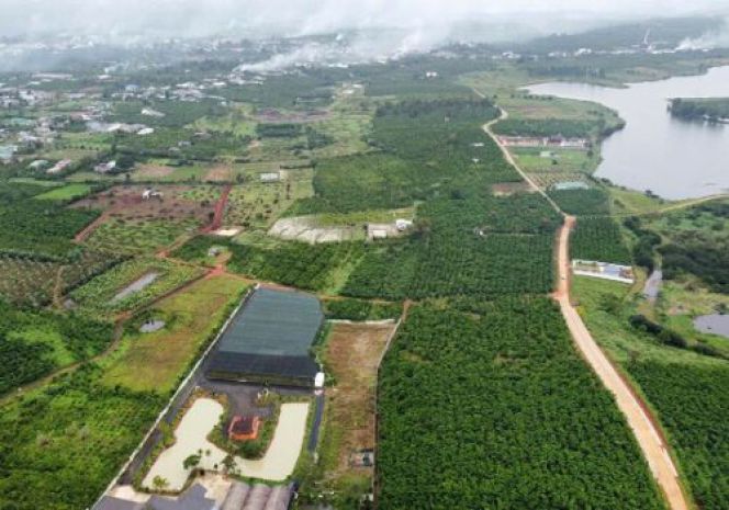 Chính chủ bán lô đất đẹp 26000m2 tại phường lộc phát, bảo 6845536