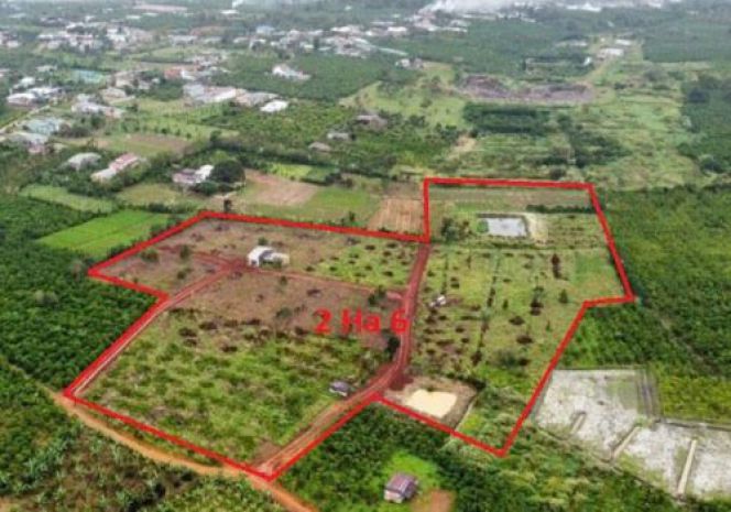 Chính chủ bán lô đất đẹp 26000m2 tại phường lộc phát, bảo 6845537