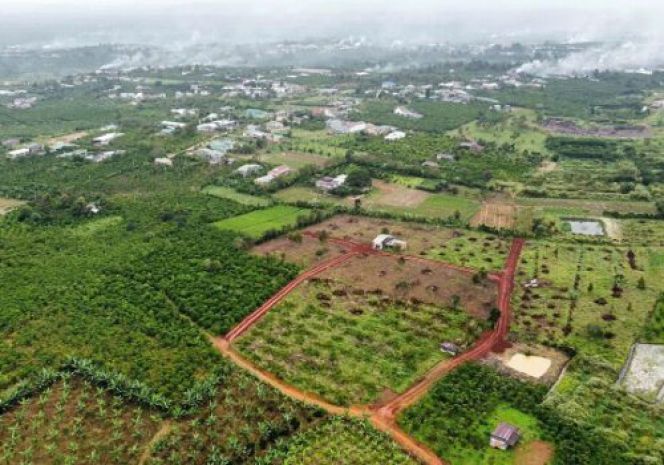 Chính chủ bán lô đất đẹp 26000m2 tại phường lộc phát, bảo 6845539
