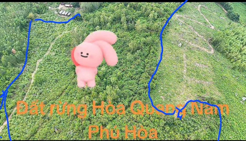 Cần bán 5,1ha đất thôn phú thạnh, xã hòa quang nam, huyện 6845580