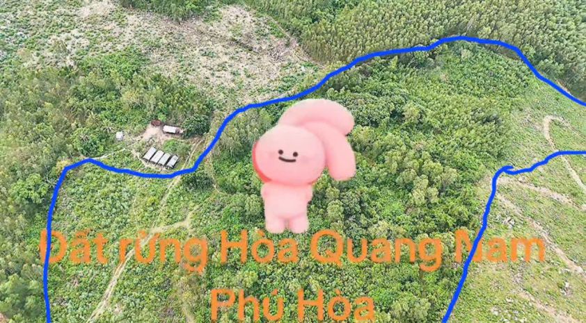 Cần bán 5,1ha đất thôn phú thạnh, xã hòa quang nam, huyện 6845581