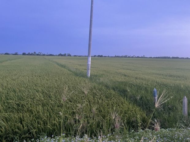 Đất đẹp - giá tốt - cần bán nhanh lô đất tiềm năng tại trần 6846244