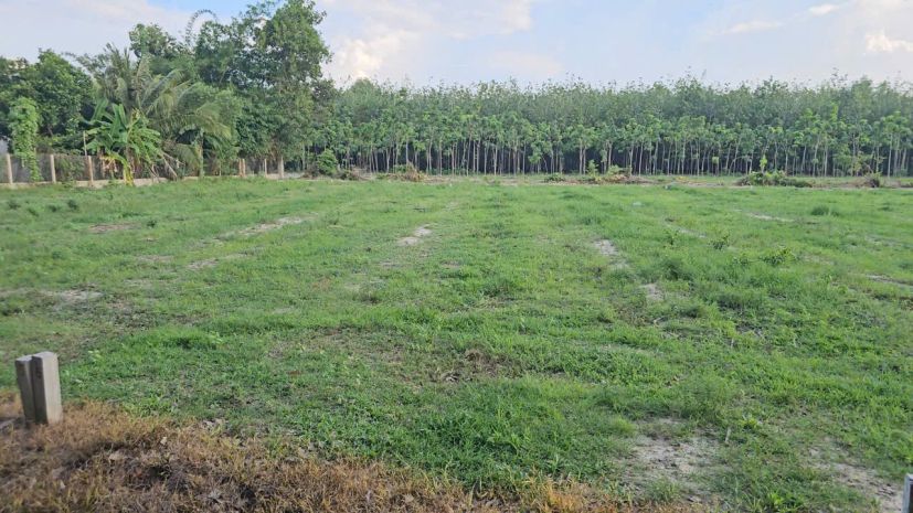 Đất đẹp - giá tốt - chính chủ bán đất nền đã có sổ hồng 6847169