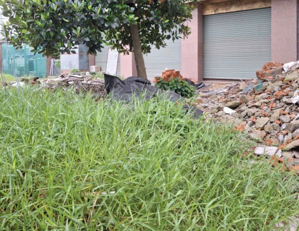 4 lô đất mặt tiền shr đường 10m 105m2  võ thị thừa quận 12 6847309